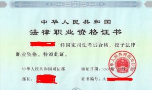 法律職業 法律職業