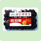 鹹味楊梅 鹹味楊梅