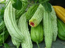 鍾鈺[農作物名稱]