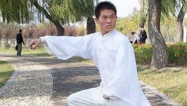 太極拳流派 太極拳流派