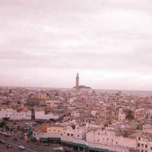 達爾貝達 達爾貝達