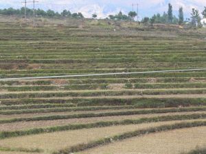 路上下自然村 路上下自然村