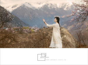 女人三部曲 女人三部曲