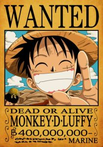 路飛[日本漫畫《海賊王》的主人公]