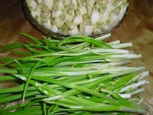 韭菜