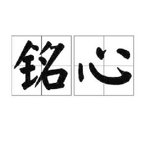 銘心[詞語釋義]