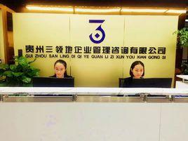 貴州三領地企業管理諮詢有限公司 貴州三領地企業管理諮詢有限公司