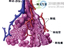 肺泡蛋白質沉積症