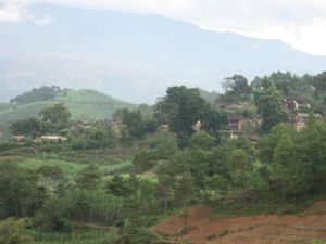 丫口田村 丫口田村