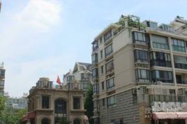 金沙嘉年華 金沙嘉年華