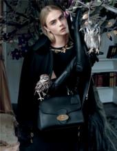 蒂姆·沃克 作品