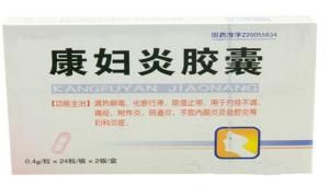 康婦炎膠囊 康婦炎膠囊
