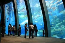 八景島水族館