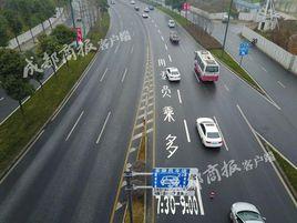 多成員車輛專用車道 多成員車輛專用車道