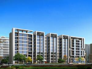 鞍山林蔭大道 鞍山林蔭大道