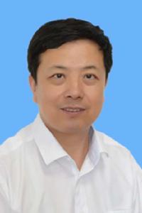 王同海[天津市西青區人民政府副區長（掛職）]