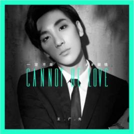 一定不是愛情 一定不是愛情