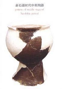 重慶忠縣中壩遺址 重慶忠縣中壩遺址