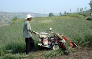寇家河鄉 寇家河鄉