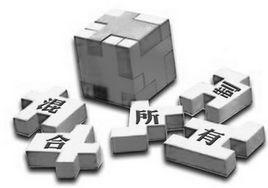 混合所有制[定義]