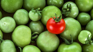 專特戰略 專特戰略