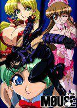 鼠輩怪盜[Studio DEEN製作的電視動畫作品]