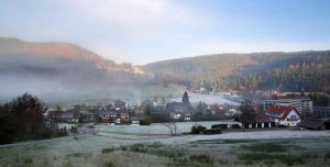 德國黑森林抗衰老中心 德國黑森林抗衰老中心