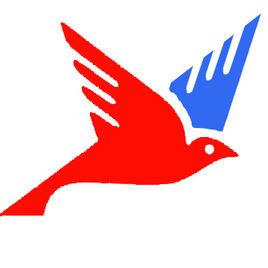 濟南織雀信息科技有限公司 濟南織雀信息科技有限公司