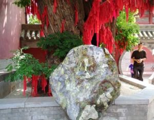 天水市麥積區博物館