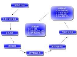 外顯子截留系統 外顯子截留系統