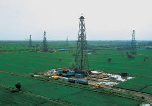 三合村油田 三合村油田