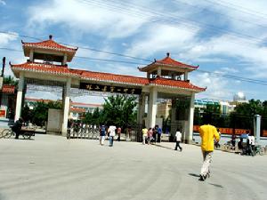 林西一中 林西一中