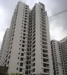 西麗藍天 西麗藍天