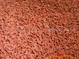 中國枸杞之鄉—中寧