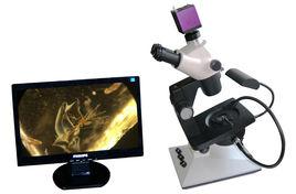 珠寶顯微鏡 珠寶顯微鏡