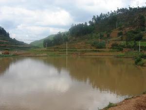 洋邑坪自然村村內小水塘