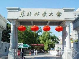 東北林業大學園林學院