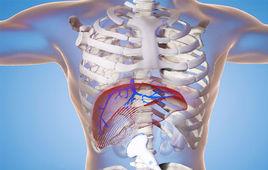 醫學動畫 醫學動畫