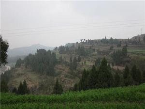 四川省南充市儀隴縣復興鎮千丘田村