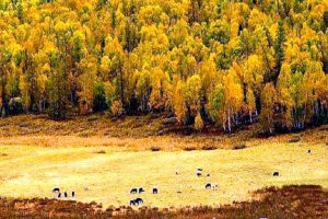 托洪台陽光沙灘 托洪台陽光沙灘