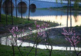 大洋灣濕地公園 大洋灣濕地公園