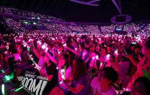 歌迷匯聚櫻花海作為禮物