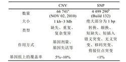 CNV和SNP的對比