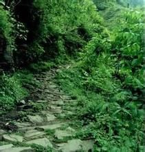 丙中洛茶馬驛道 丙中洛茶馬驛道