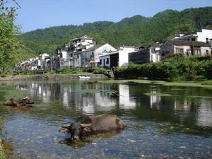 （圖）江南水鄉