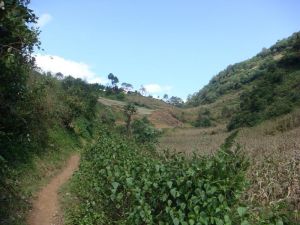 水菜地村 水菜地村