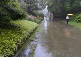 黃梅天氣 黃梅天氣