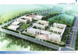 天津市第一中學濱海學校 天津市第一中學濱海學校