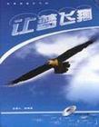 讓夢飛翔激情演講