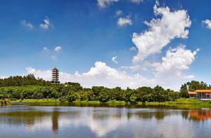 十八羅漢山森林公園 十八羅漢山森林公園